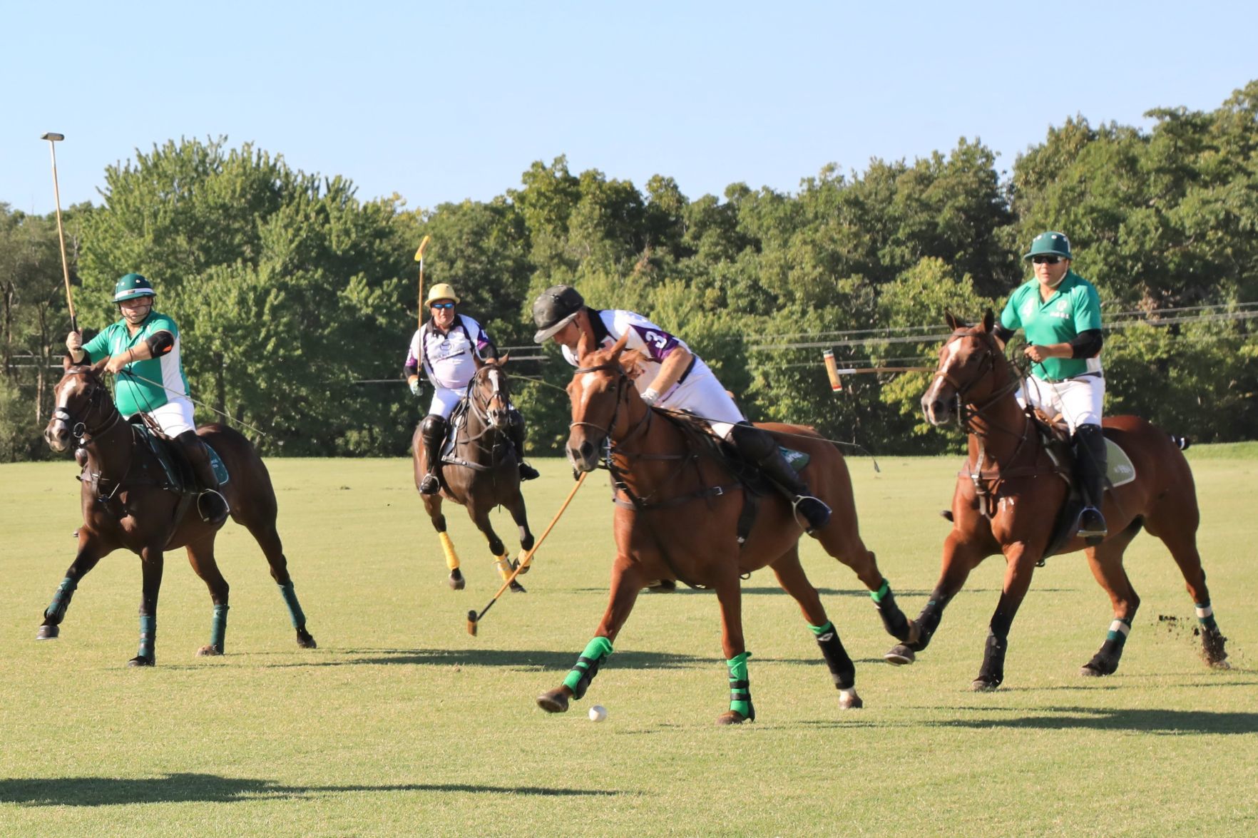 2018-Glennon-Gallop-049.JPG